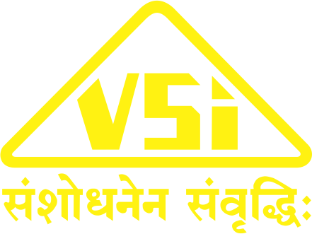 VSI Logo